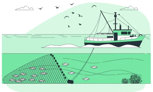 trawl fishing concept illustration 114360 11637