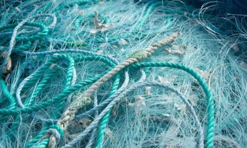 closeup blue ropes fishing nets each other sunlight 181624 44576