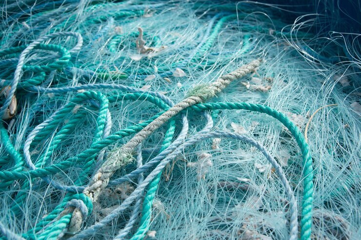 closeup blue ropes fishing nets each other sunlight 181624 44576
